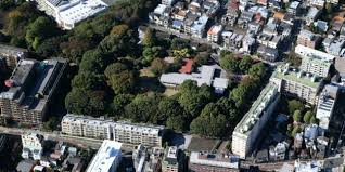 Aerial view of Tokyo near the Tokyo Branch